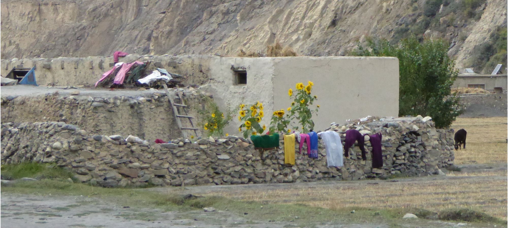 Photos from our Pakistan - The Old Silk Route Cycling Holiday